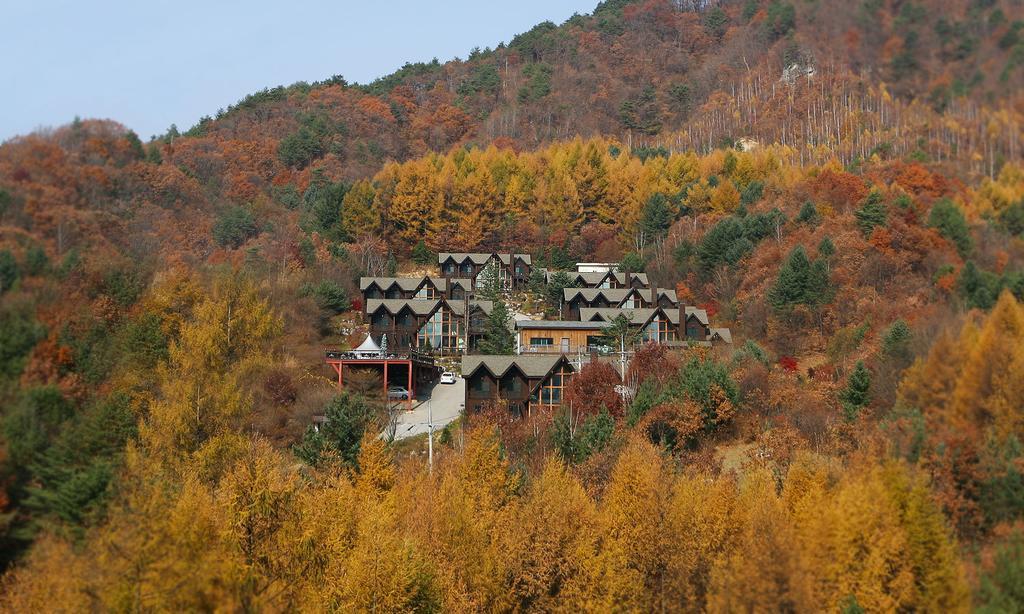 Chalet Resort Pyeongchang Eksteriør bilde